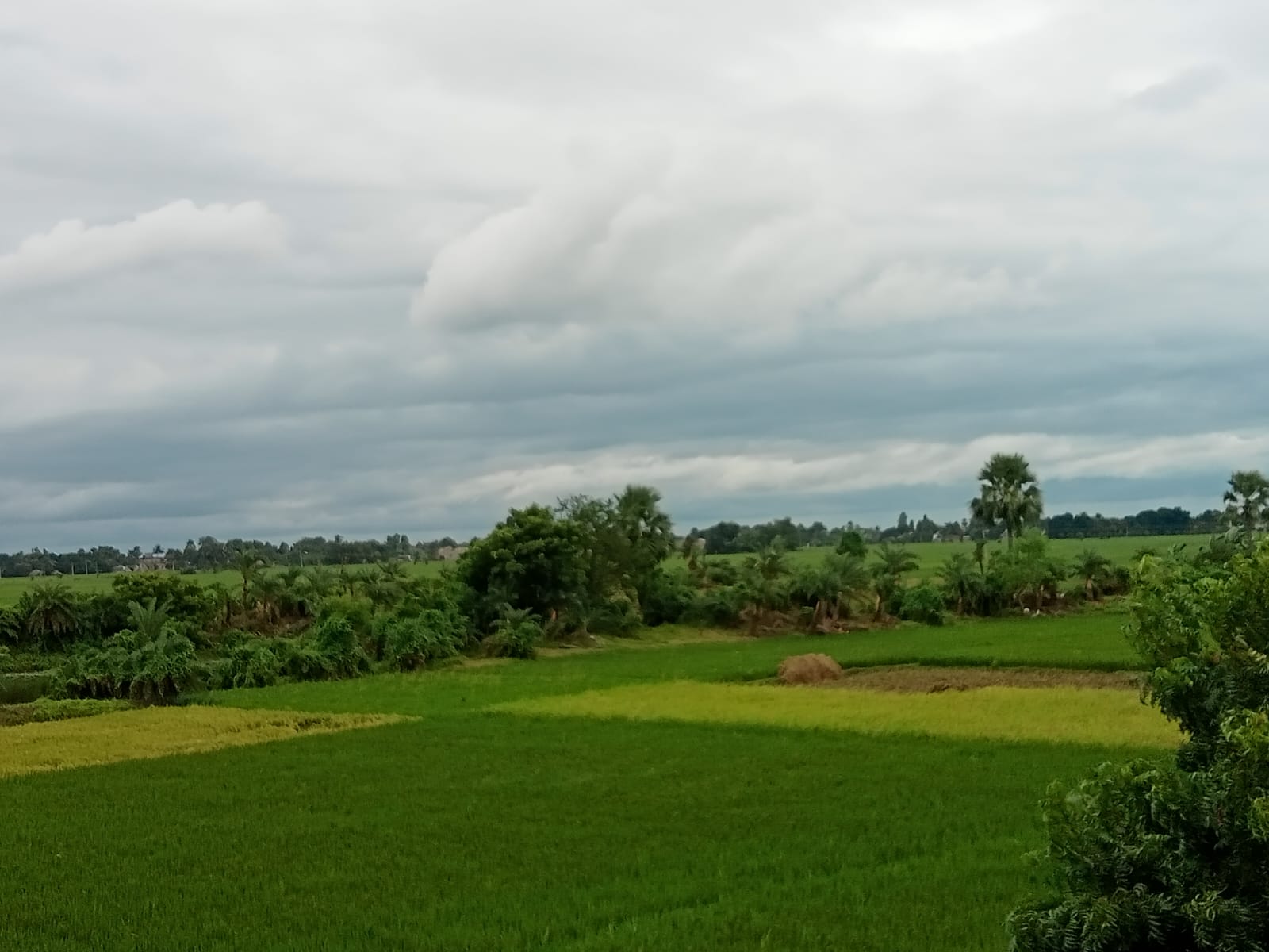 WhatsApp Image 2026-01-07 at 8.04.29 PM (1) – Copy