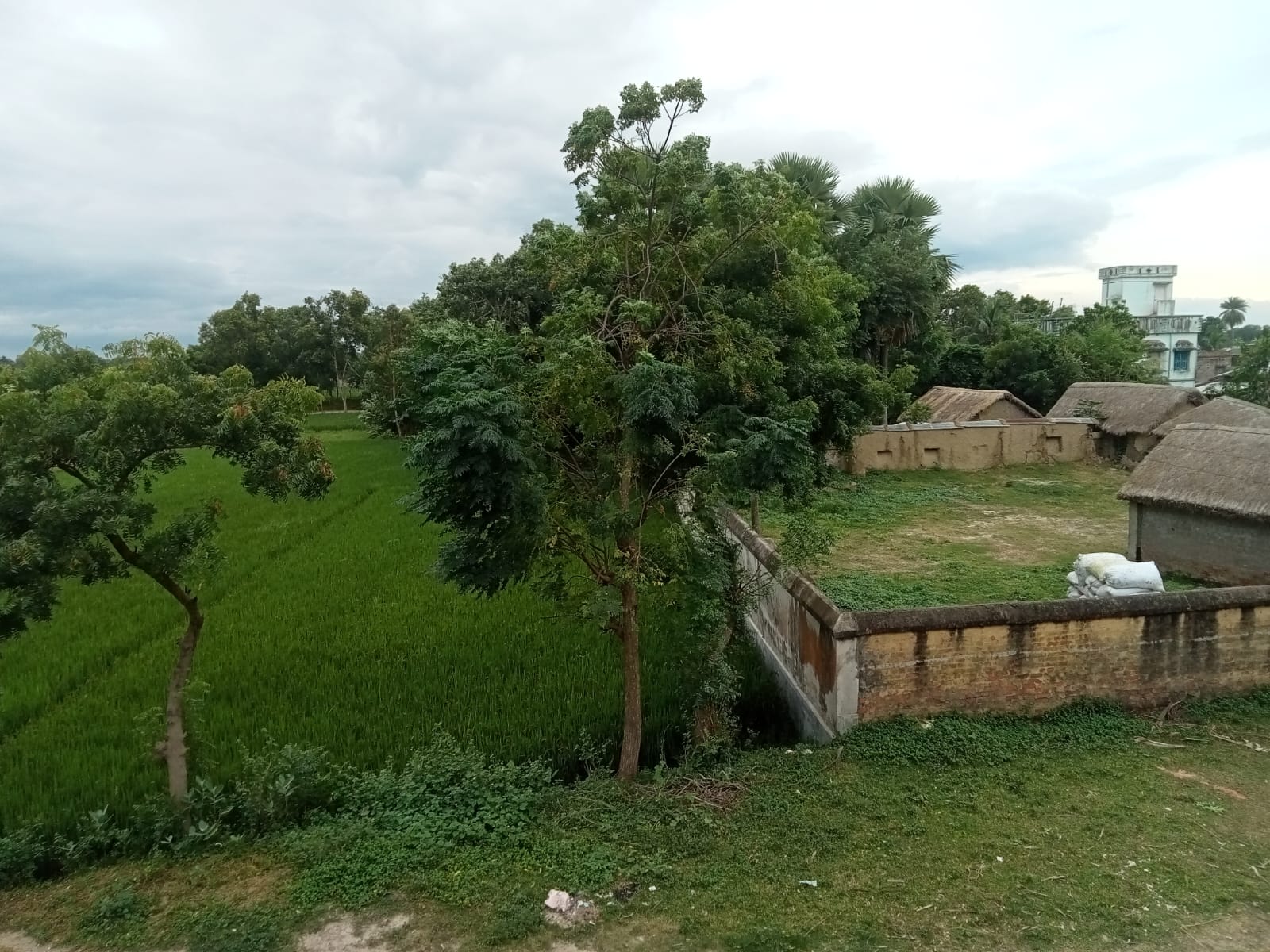 WhatsApp Image 2026-01-07 at 8.04.29 PM