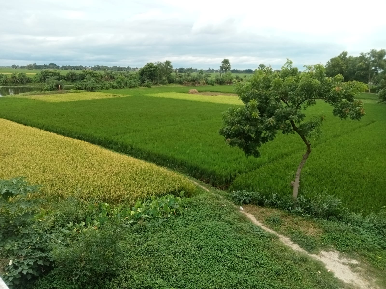 WhatsApp Image 2026-01-07 at 8.04.30 PM (1) – Copy