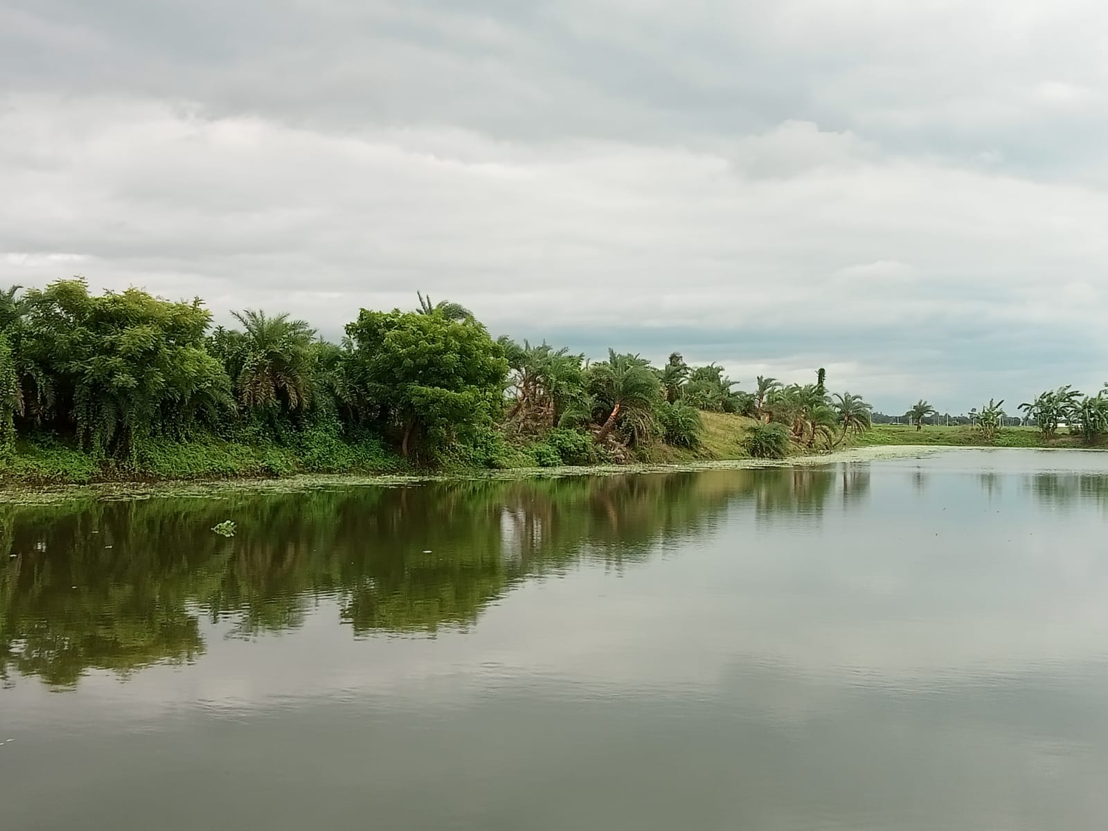 WhatsApp Image 2026-01-07 at 8.04.30 PM (2)