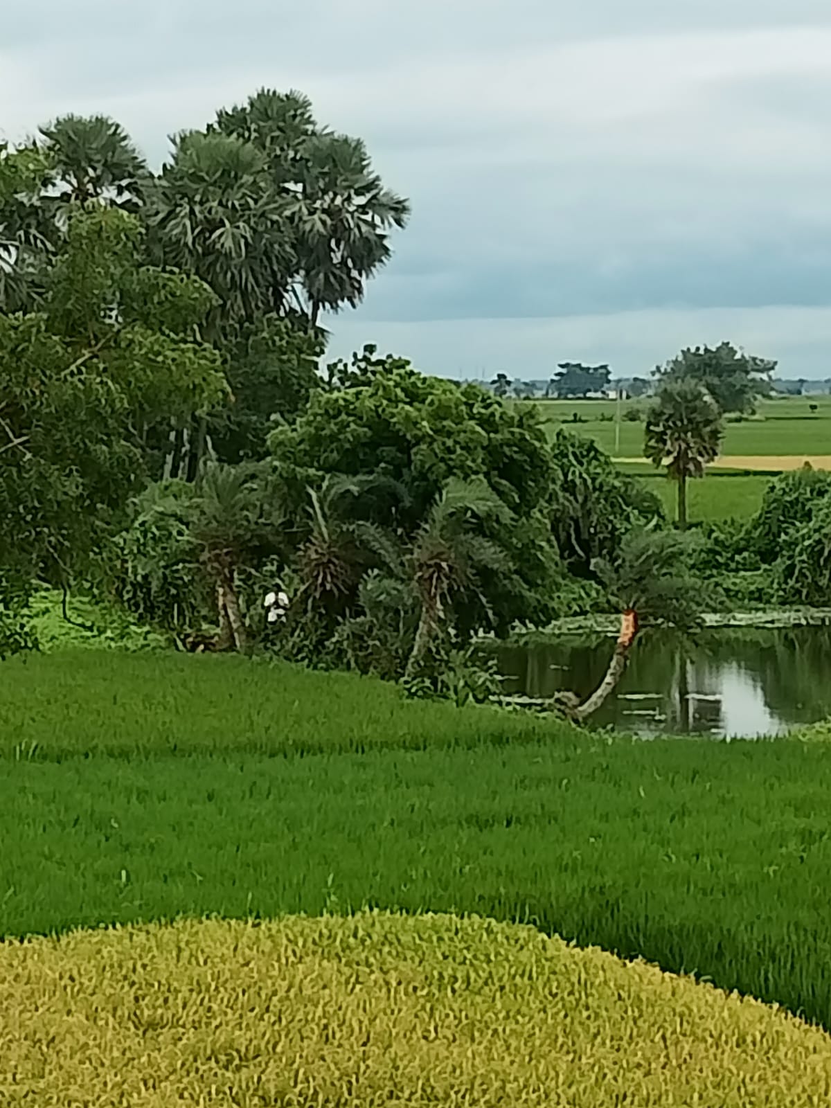 WhatsApp Image 2026-01-07 at 8.04.30 PM – Copy