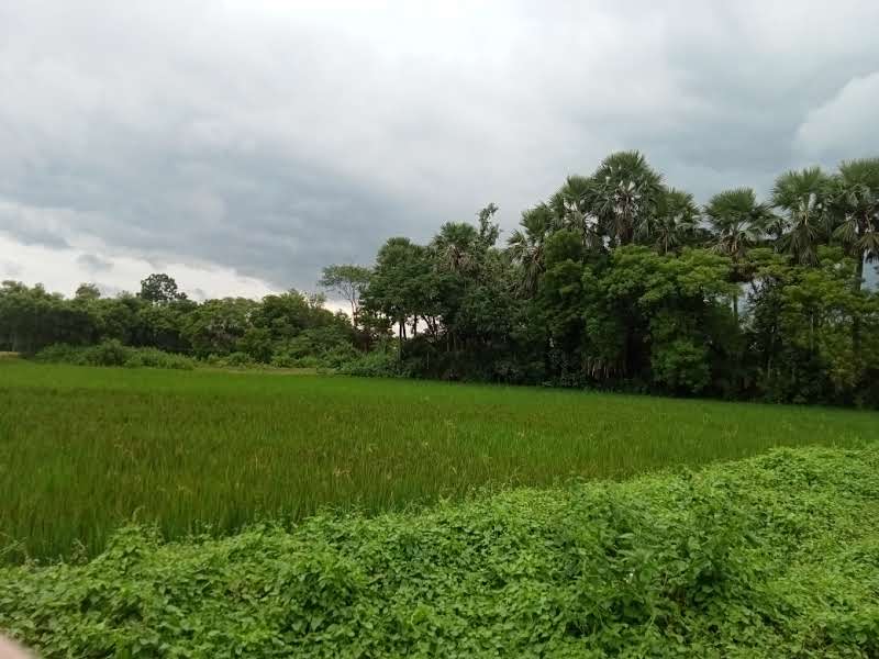 WhatsApp Image 2026-01-07 at 8.04.31 PM – Copy